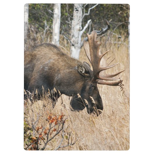 Weidebulle Klemmbrett (Rückseite)