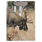 Weidebulle Klemmbrett (Vorderseite)