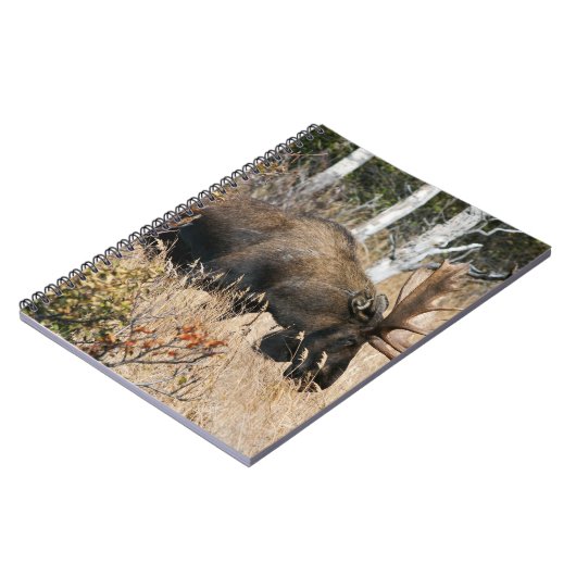 Weidebulle Notizblock (Linke Seite)