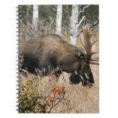 Weidebulle Notizblock (Vorderseite)