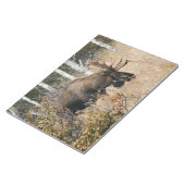 Weidebulle Notizblock (angewinkelt)