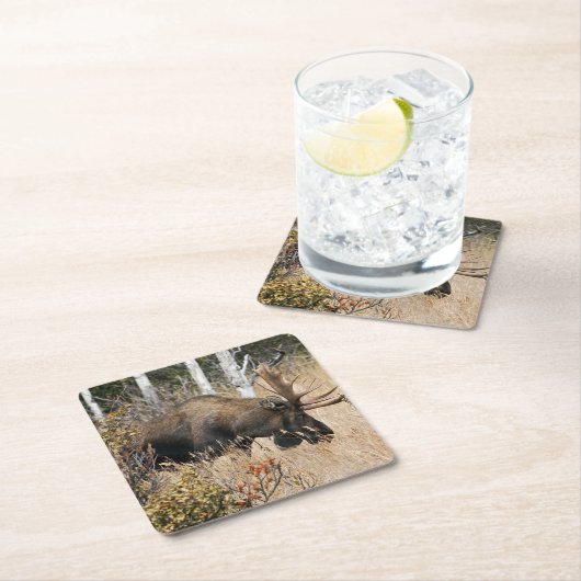 Weidebulle Rechteckiger Pappuntersetzer (Vor Ort)