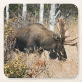 Weidebulle Rechteckiger Pappuntersetzer (Vorderseite)