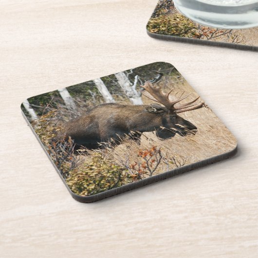 Weidebulle Untersetzer (Linke Seite)