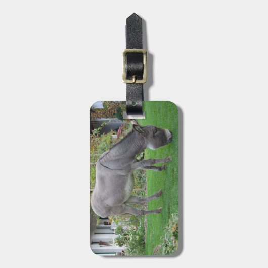 WeideDonkey Gepäckanhänger (Vorderseite vertikal)