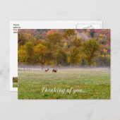 Weideeich, denken Sie an Sie Postkarte (Vorne/Hinten)