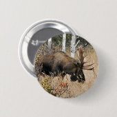 Weidegang Button (Vorne & Hinten)