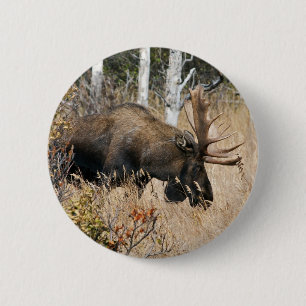 Weidegang Button