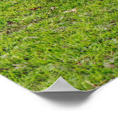 Weidegang Emden Goose Poster (Ecke)