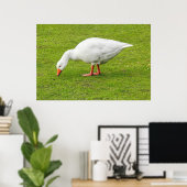 Weidegang Emden Goose Poster (Heimbüro)