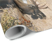 Weidegang Geschenkpapier (Rolleneckpunkt)