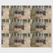 Weidegang Geschenkpapier (Flach)