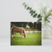 Weidegang nach dem Baden Postkarte (Stehend Vorderseite)