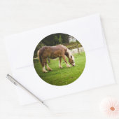 Weidegang nach dem Baden Runder Aufkleber (Umschlag)