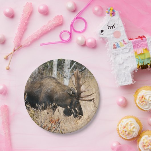 Weidegang Pappteller (Party)