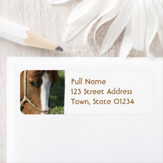 Weidegang Pferderückgabekarte (Insitu)