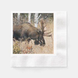 Weidegang Serviette