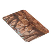 Weidehirsche im Retro-Stil Magnet (Rechte Seite)