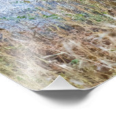 Weidehirsche mit Antlerfotografie Fotodruck (Ecke)