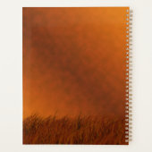 Weidehirsche Planer (Rückseite)