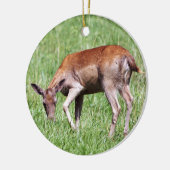 Weidehirse Keramik Ornament (Links)