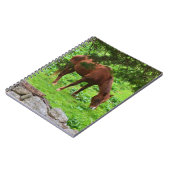 Weidehorn Notizblock (Linke Seite)