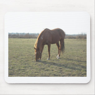 Weidekastanie Mousepad