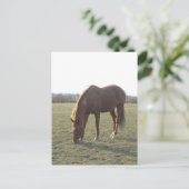 Weidekastanie Postkarte (Stehend Vorderseite)