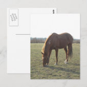 Weidekastanie Postkarte (Vorne/Hinten)