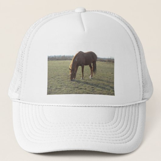 Weidekastanie Truckerkappe (Vorderseite)