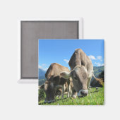 Weidekuh-Magnet Magnet (Vorderseite/Rückseite)