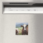 Weidekühe Magnet (In Situ (Geschirrspüler))