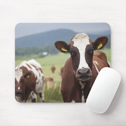 Weidekühe Mousepad (Mit Mouse)
