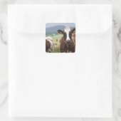 Weidekühe Quadratischer Aufkleber (Tasche)
