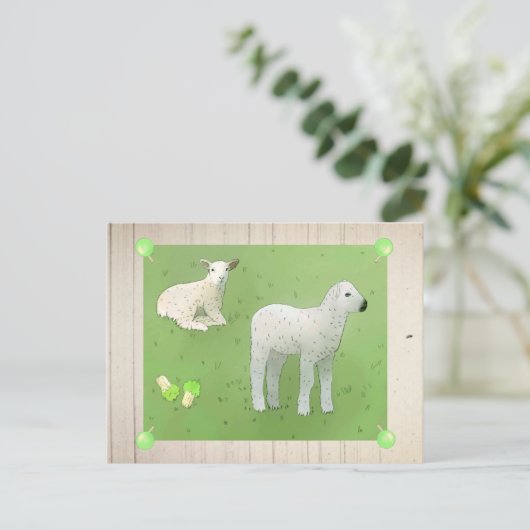 Weidelämmer Postkarte (Stehend Vorderseite)