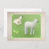 Weidelämmer Postkarte (Vorne/Hinten)
