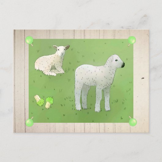 Weidelämmer Postkarte (Vorderseite)