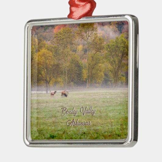 Weideland Couple Premium Square Ornament (Links)