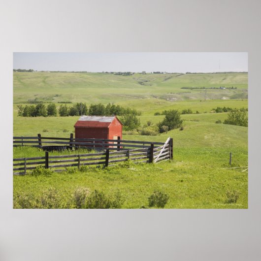 Weideland mit roter Hütte und eingezäuntem Gelände Poster (Vorne)