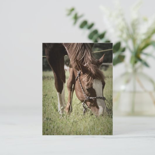 Weideland Postkarte (Stehend Vorderseite)