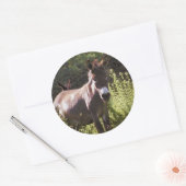 Weideland Runder Aufkleber (Umschlag)