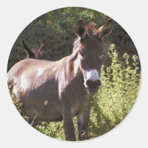 Weideland Runder Aufkleber