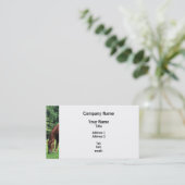 Weideland Visitenkarte (Stehend Vorderseite)