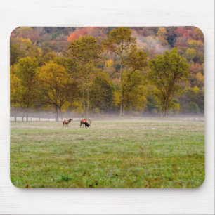 Weideleich Couple Mousepad