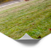 Weideleich-Couple-Poster Poster (Ecke)
