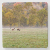 Weideleich Couple Stone Untersetzer (Vorderseite)