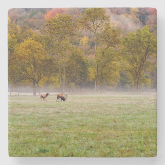 Weideleich Couple Stone Untersetzer (Vorderseite)