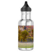 Weideleich Kapselwasserflasche Edelstahlflasche (Rechts)