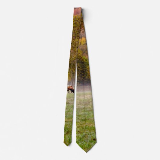 Weideleich - Krawatte (Rückseite)