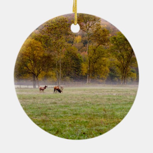 Weideleich-Kreiselverzierung Keramik Ornament (Hinten)